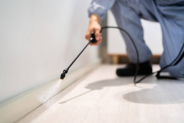 Licensed Rodent Control service in Bath County County, KY - Nex Pest Control